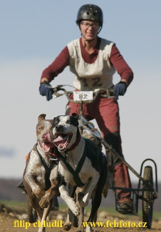 Bakonybel - 0617.JPG